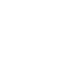 Tess Watches